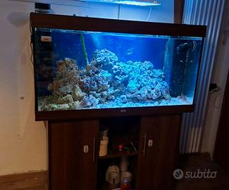 Acquario con mobile