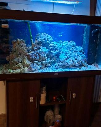 Acquario con mobile