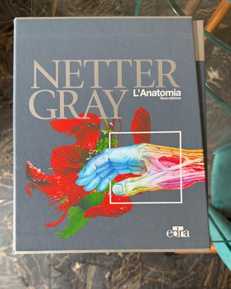NETTER GRAY – Anatomia Umana – 3 Volumi – Mai Usat