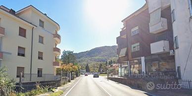 Arredato quadrilocale con giardino