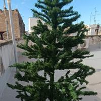 Albero dì natale