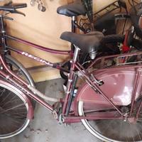 Lotto 7 biciclette di cui una BTWIN elettrica