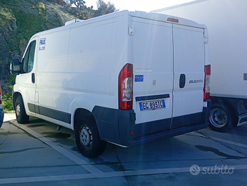 Fiat Ducato frigo