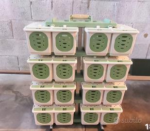 Trasportino per volatili