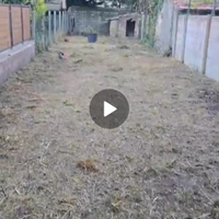 Mag commerciale con giardino