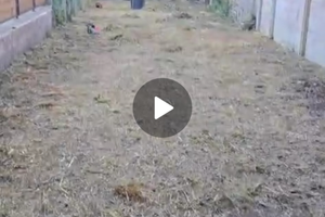 Mag commerciale con giardino