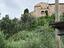 Immagine 20
