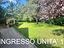 Immagine 7