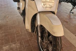 Scarabeo 500