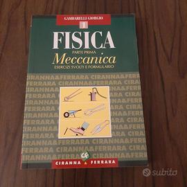 Bigino Fisica parte prima Meccanica esercizi svolt
