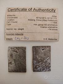 Meteorite Aletai
