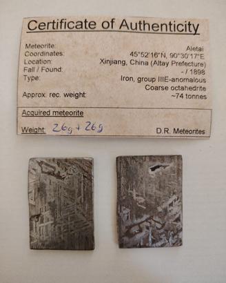 Meteorite Aletai