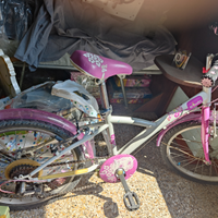 Bicicletta bambina 20