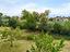 Immagine 28