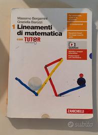 Libro Matematica Lineamenti di matematica Vol. 1