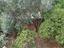 Immagine 25