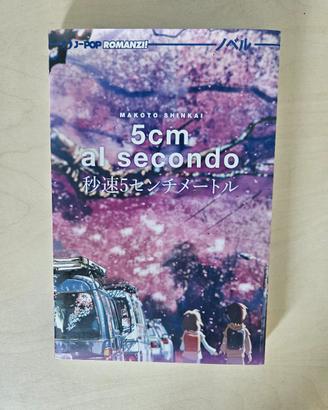 Romanzo 5 cm al secondo