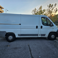 Fiat ducato frigo