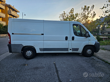 Fiat ducato frigo