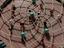 Immagine 2