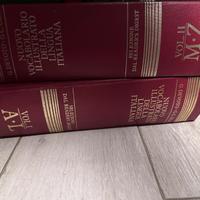 Dizionario illustrato devoto oli