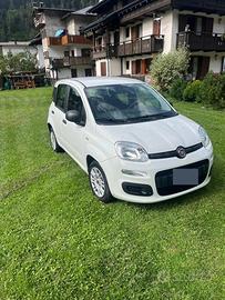 Fiat Panda 1.2 Lounge 69cv
