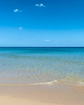 Pinus Village - Settembre a 150 metri dal mare