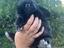 Immagine 4