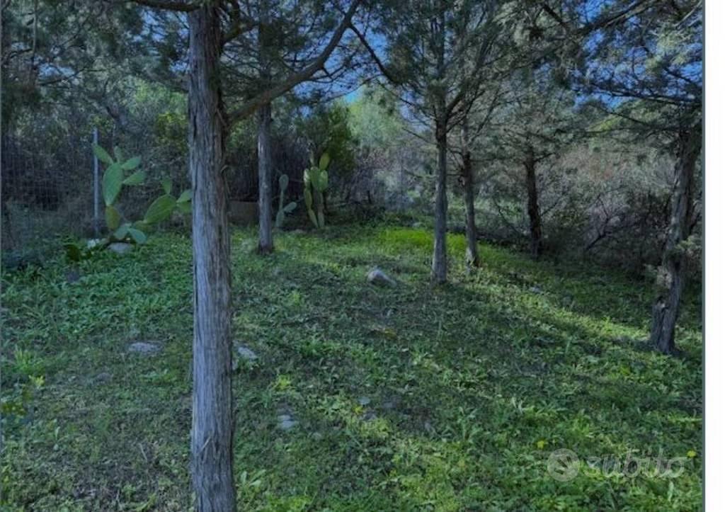 Immobile in asta di 12390 m² a Olbia - Vista 5