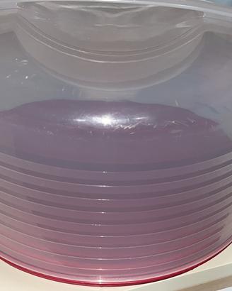 Portatorte Tupperware