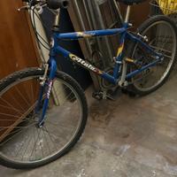 bici mountain bike