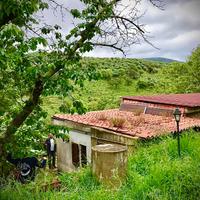 Veno terreno isolato con casetta Liguria