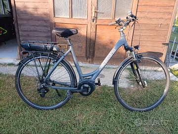 Ebike Lombardo