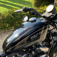 Harley Davidson 1200 nightster