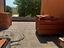Immagine 22