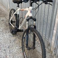 Bicicletta MTB Whistle