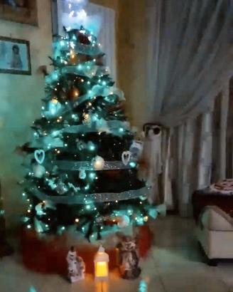 albero di natale 
