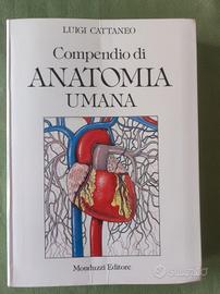 Compendio di Anatomia Umana - Cattaneo 🩺