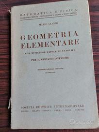 GEOMETRIA ELEMENTARE 