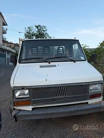 camion fiat ducato
