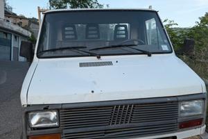 camion fiat ducato