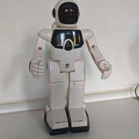 Robot giocattolo interattivo 