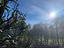 Immagine 14