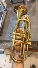 Cornetta Con Conquest 20A