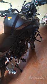 Benelli TRK 502 - 2022