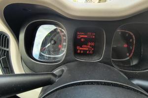 panda terza serie fine 2013