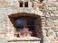 Immagine 9