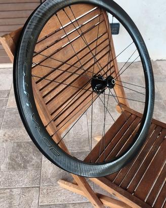 Cerchi campagnolo wto 45