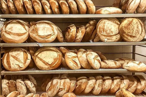 Panificio Arzergrande (PD) - Immobile+Laboratorio