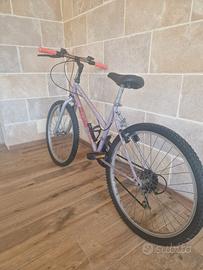 Bicicletta